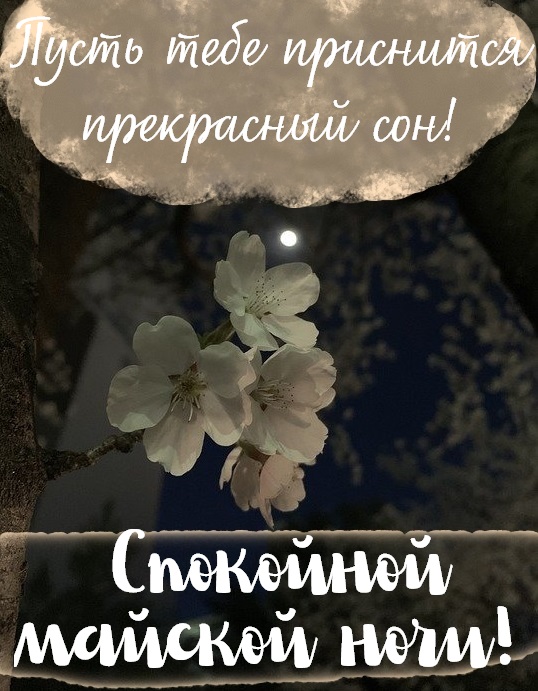 Волшебных снов пожелания