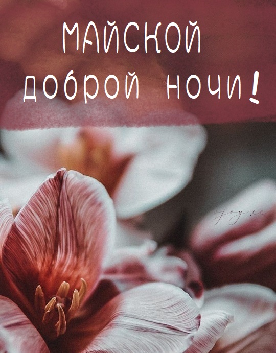 Прикольные открытки спокойной ночи, картинки.