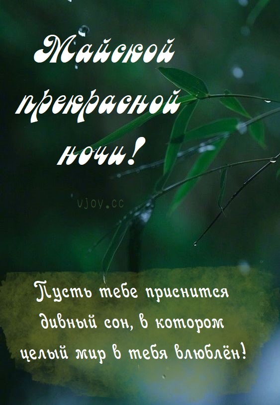 Пожелания Спокойной Майской ночи.