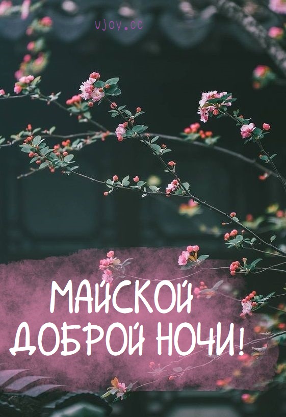 Спокойной майской ночи