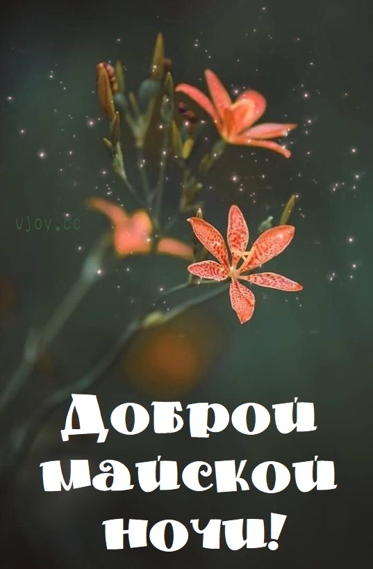 Открытки доброй весенней ночи