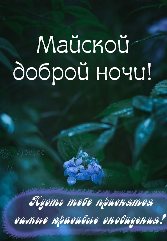 Красивые картинки — Спокойной майской ночи!