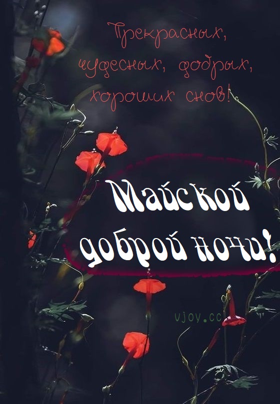 Майской красивой ночи!