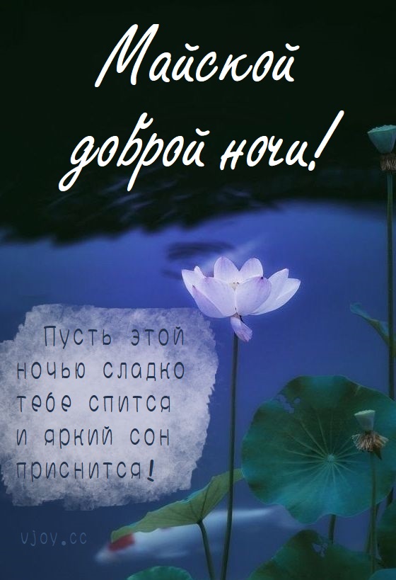 Спокойной ночи картинки красивые.