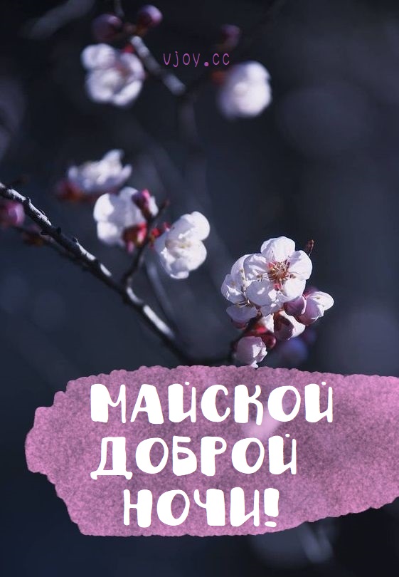 Старинные пожелания спокойной ночи.