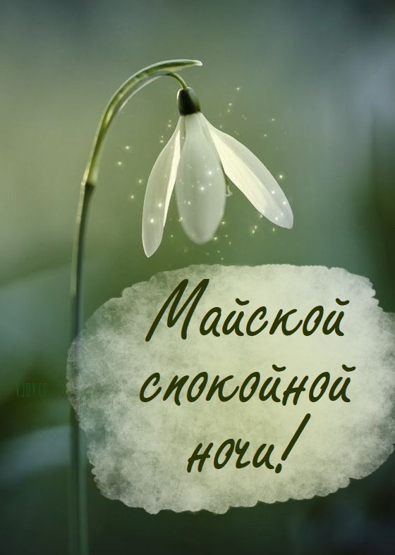 Майских хороших снов!