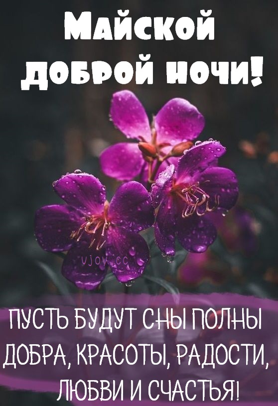 Майской спокойной весенней ночи!