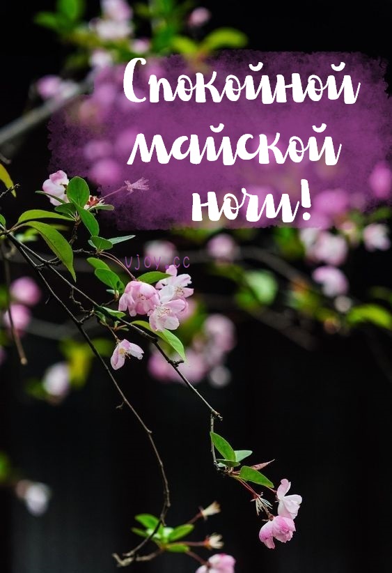 Красивых добрых снов!