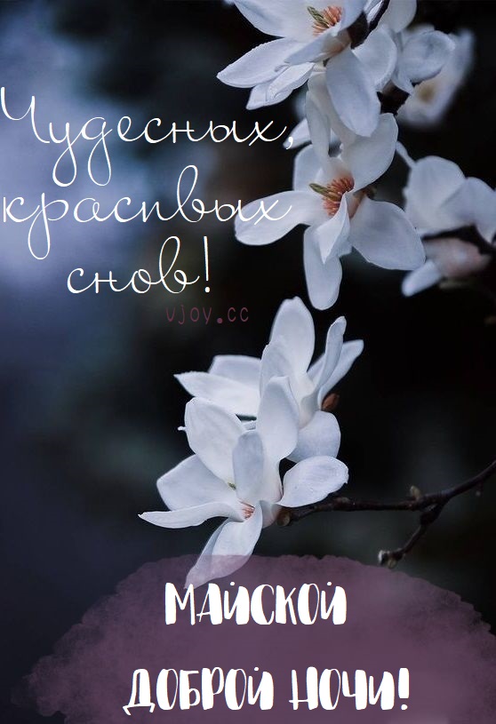 Приятных снов желаю!