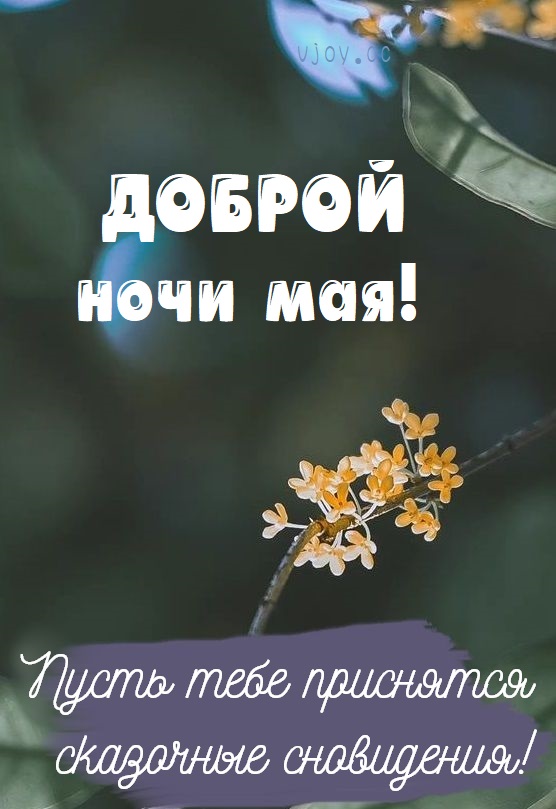 Красивые картинки — Доброй майской ночи!