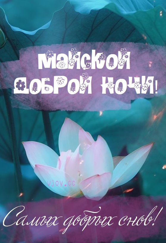 Пожелания спокойной Майской ночи 2023 - 2024.