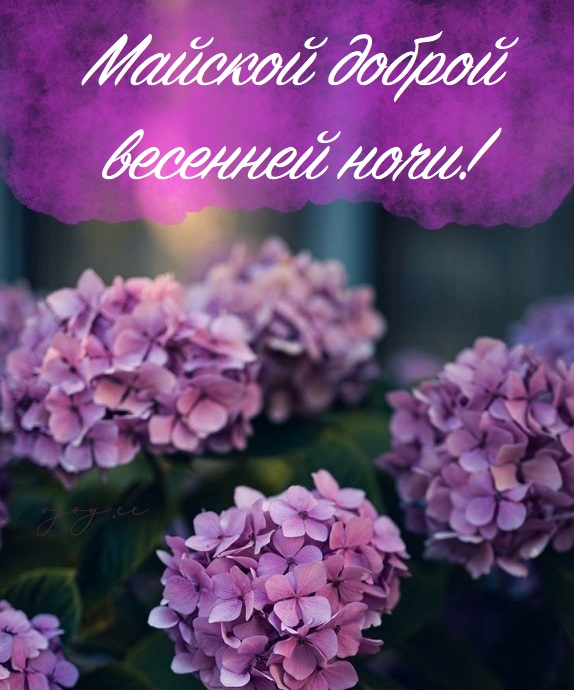 Желаю доброй ночи с природой