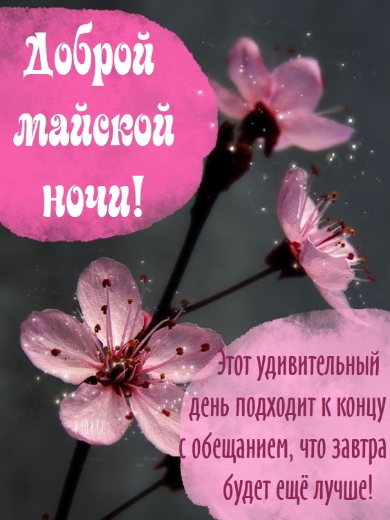 Стихи на ночь, Хорошие стихи на ночь, Стихи спокойной ночи.