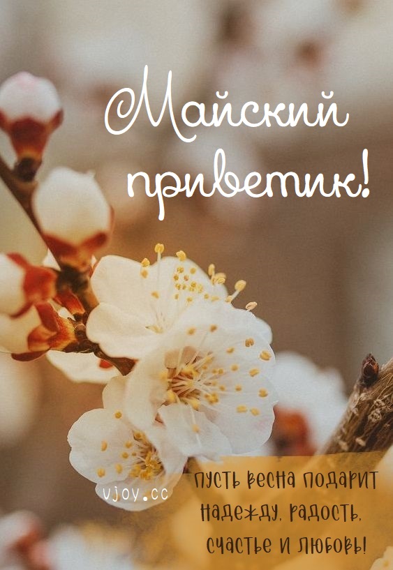 Счастливого майского дня Счастливого майского дня