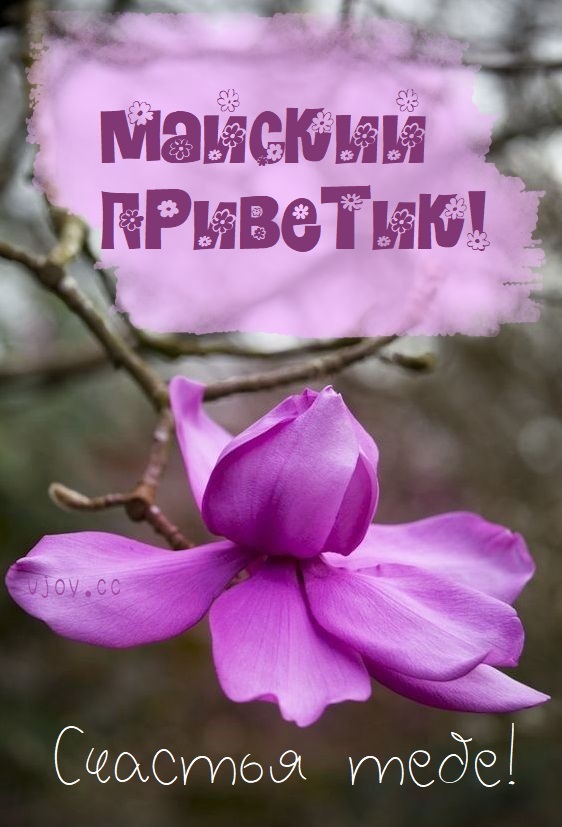 Майский привет тебе от меня. Майский привет тебе от меня.
