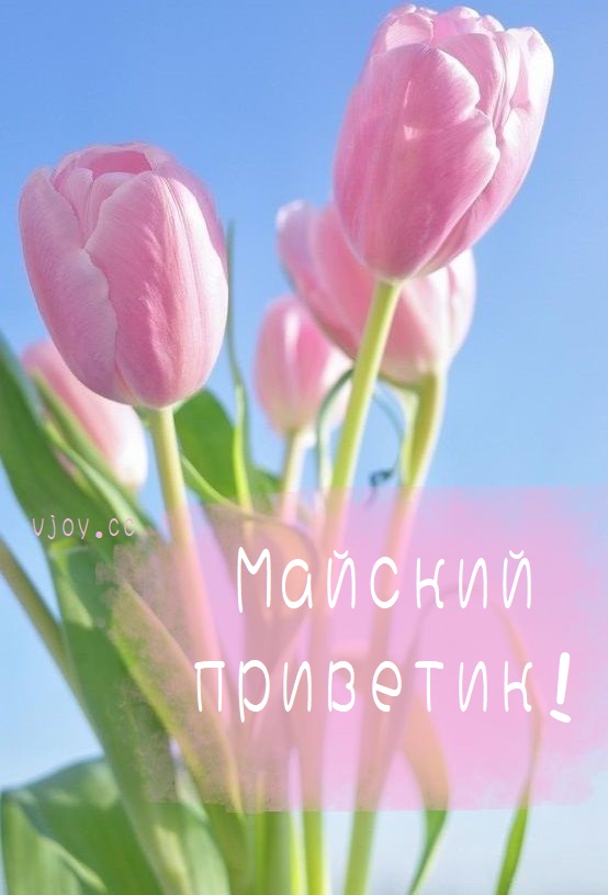 Весеннего настроения пожелания Весеннего настроения пожелания