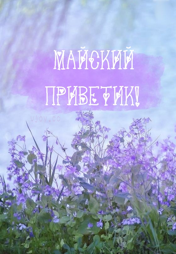 Картинка Майский Привет! Картинка Майский Привет!
