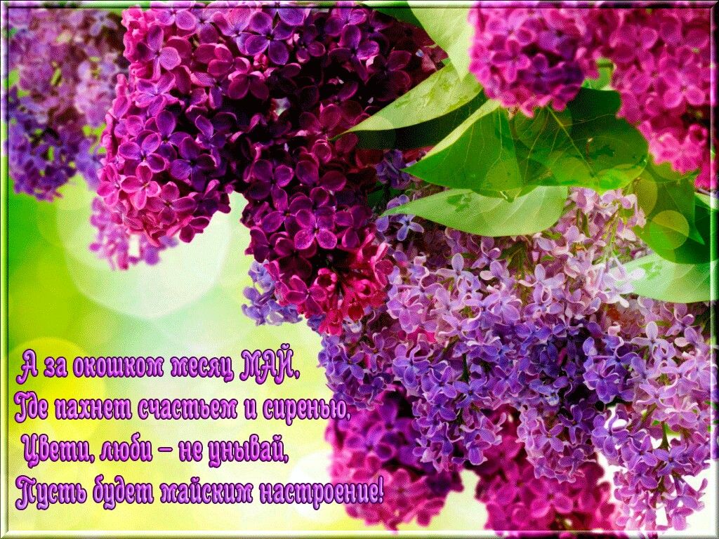 Яркого теплого и чудесного дня Яркого теплого и чудесного дня
