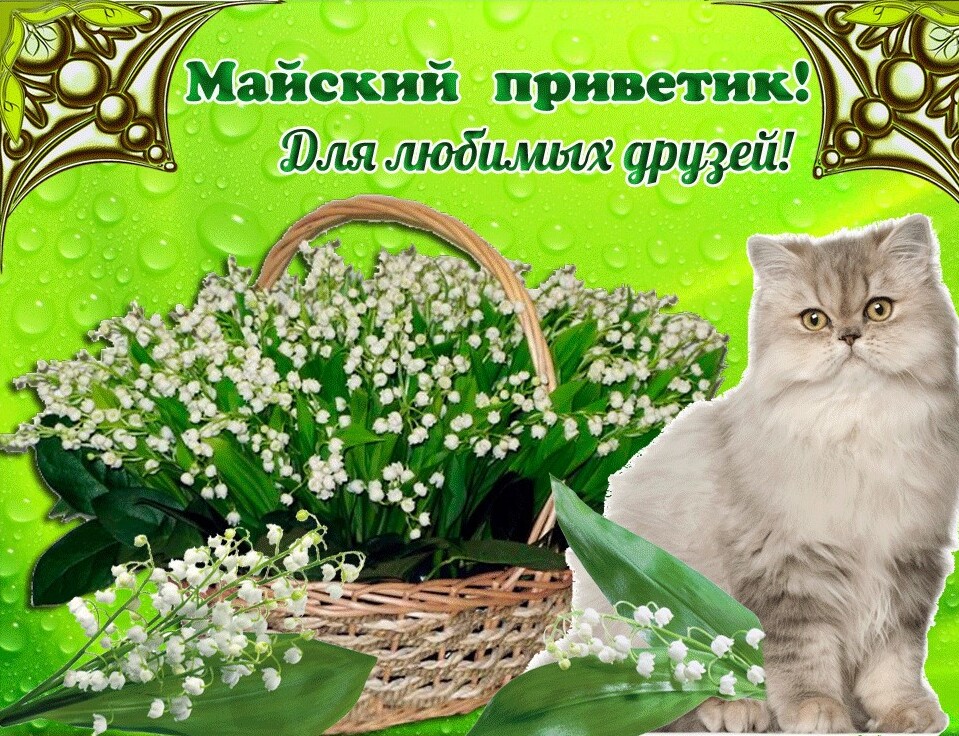 Открытки с добрым майским днём. Открытки с добрым майским днём.