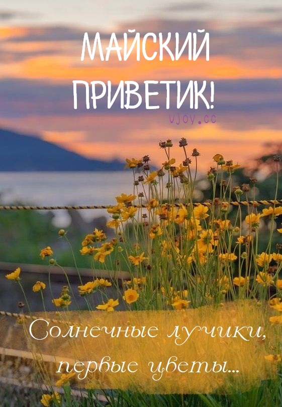 Счастливых майских дней! Счастливых майских дней!