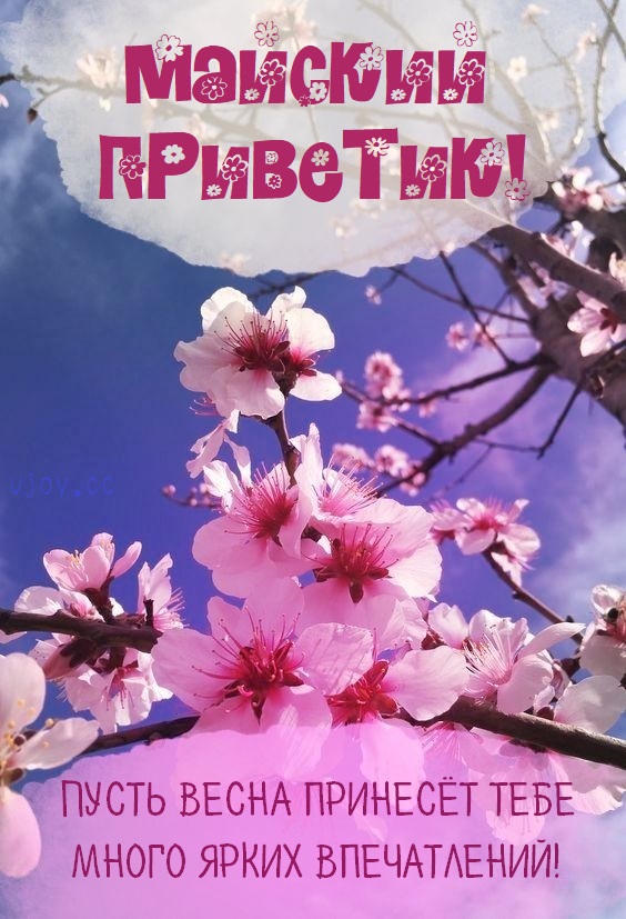 Картинка добрый день с цветами! Картинка добрый день с цветами!