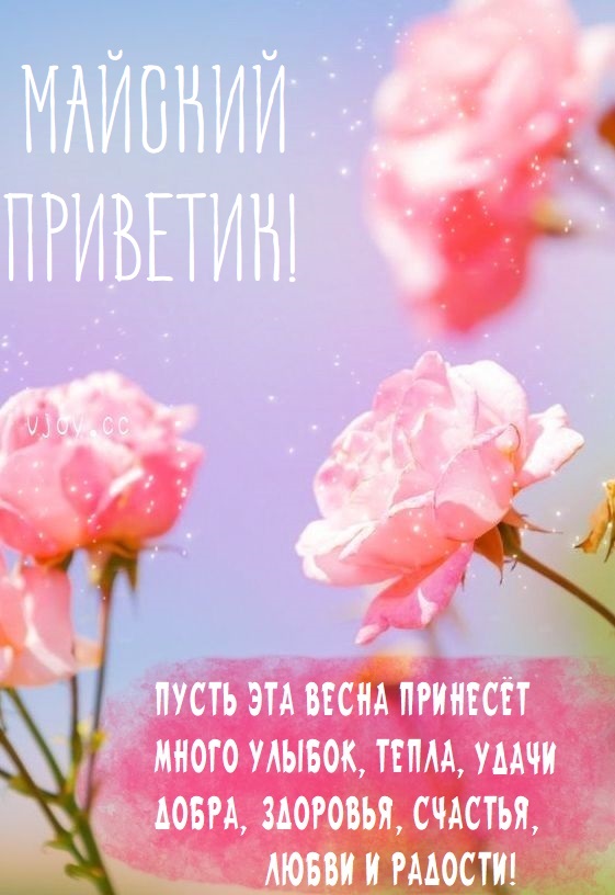Открытки Майский привет Открытки Майский привет