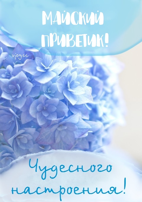 Прекрасного весеннего денька Прекрасного весеннего денька