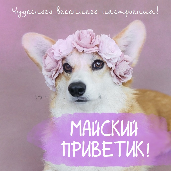 Хорошего весеннего дня Хорошего весеннего дня