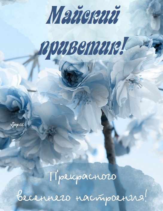 Майский привет! Майский привет!