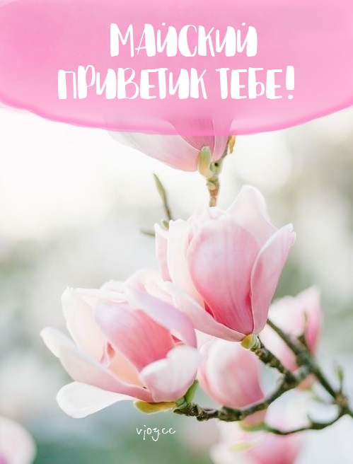 Прекрасного весеннего дня Прекрасного весеннего дня