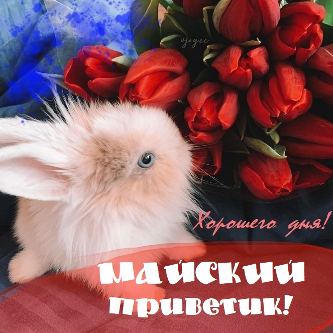 Чудесного весеннего настроения Чудесного весеннего настроения