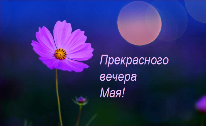 Майский чудесный вечерок. Майский чудесный вечерок.