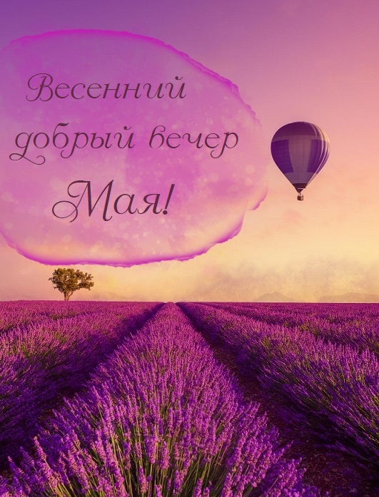 Доброго майского вечера Доброго майского вечера