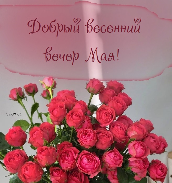 Доброго хорошего майского вечера Доброго хорошего майского вечера