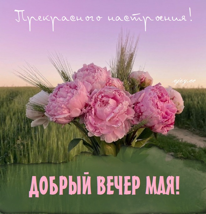 Чудесного вечерного вечера Чудесного вечерного вечера