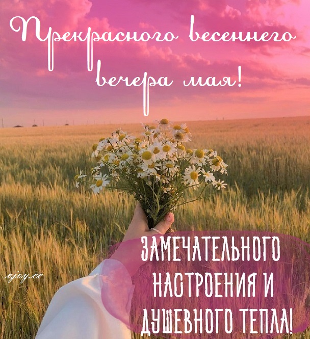 Теплого весеннего вечера Теплого весеннего вечера