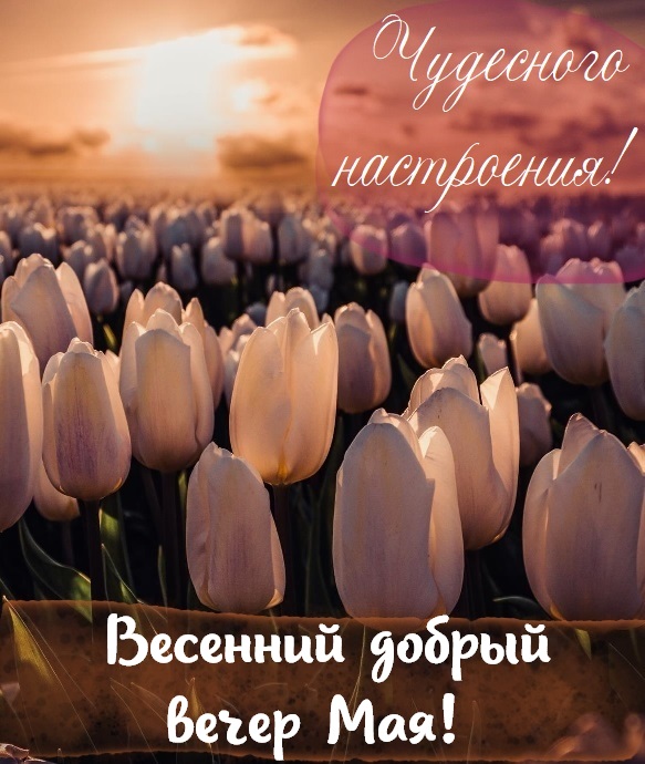 Картинки С Добрым Весенним Вечером. Картинки С Добрым Весенним Вечером.