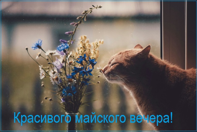 Пожелания доброго Майского вечера скачать бесплатно. Пожелания доброго Майского вечера скачать бесплатно.