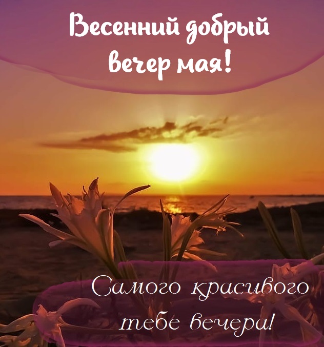 Картинки Доброго весеннего вечера и доброй ночи. Картинки Доброго весеннего вечера и доброй ночи.