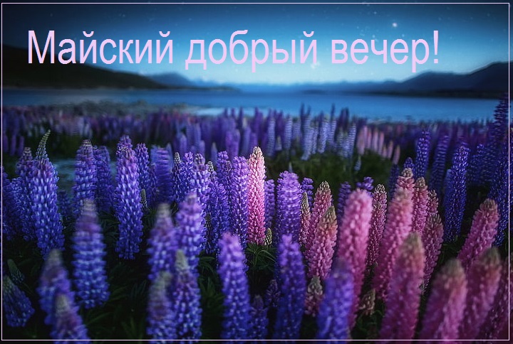 Весенний вечер цветы Весенний вечер цветы