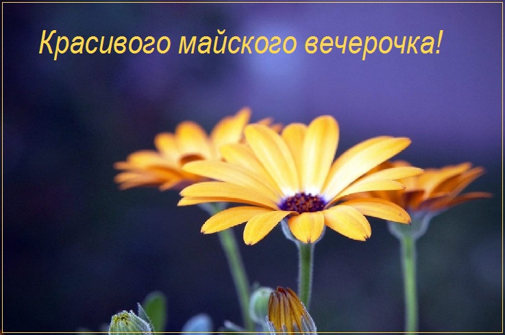 Красивого Доброго майского вечера. Красивого Доброго майского вечера.