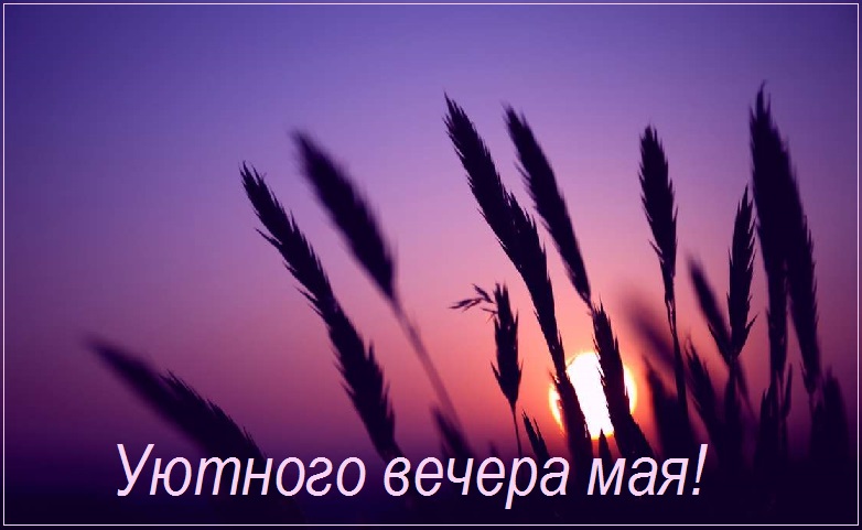 Майский вечер Майский вечер