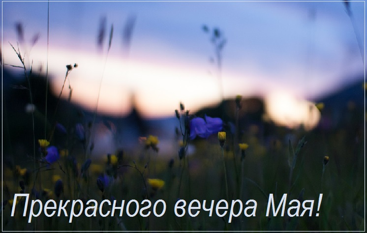 Открытки Доброго майского вечера. Открытки Доброго майского вечера.