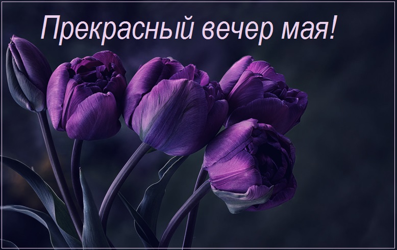 Картинка с цветами Доброго майского вечера. Картинка с цветами Доброго майского вечера.