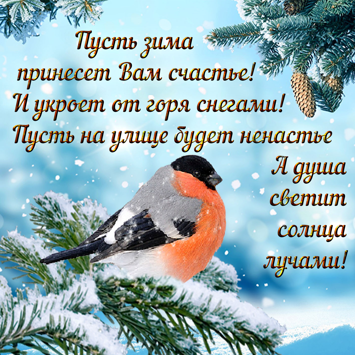 Хостинг картинок yapx.ru