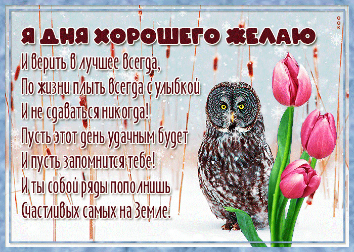 Хостинг картинок yapx.ru