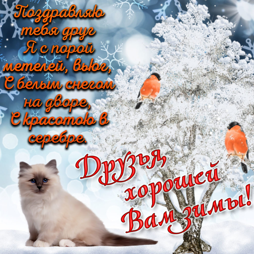 Хостинг картинок yapx.ru