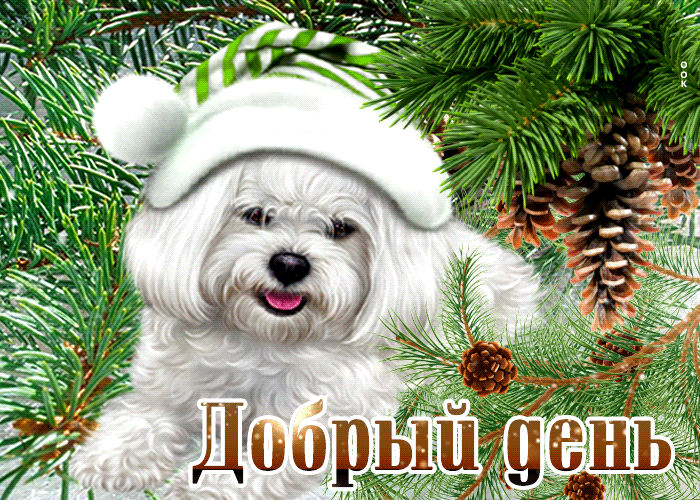 Хостинг картинок yapx.ru
