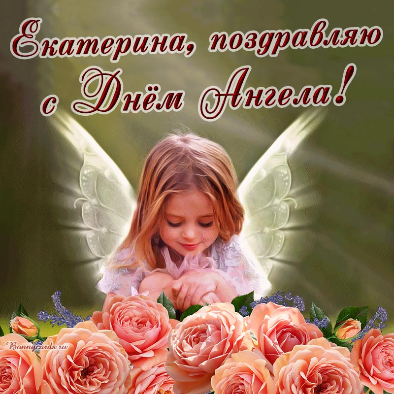 Нежное поздравление с розами Екатерине на День Ангела.