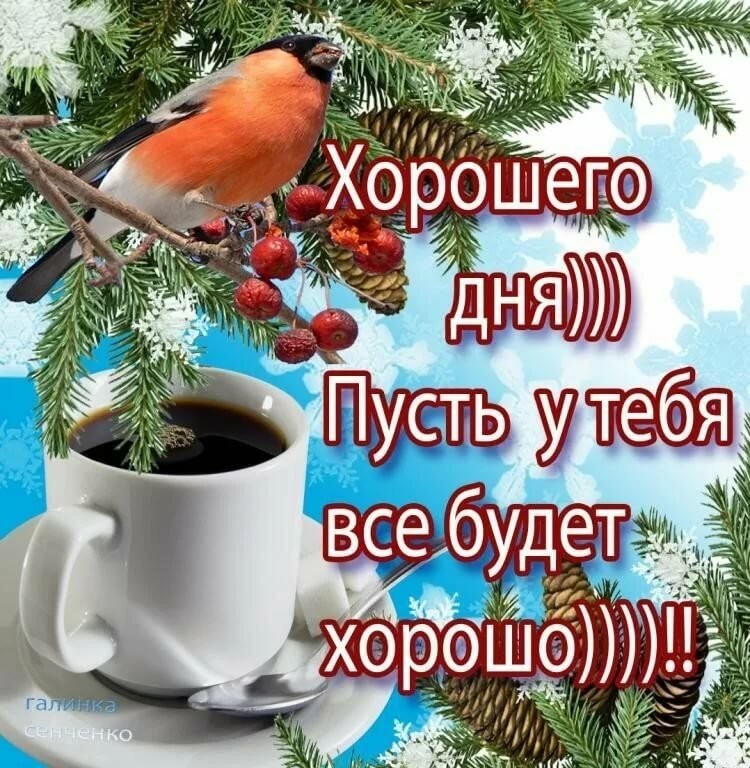 Хостинг картинок yapx.ru